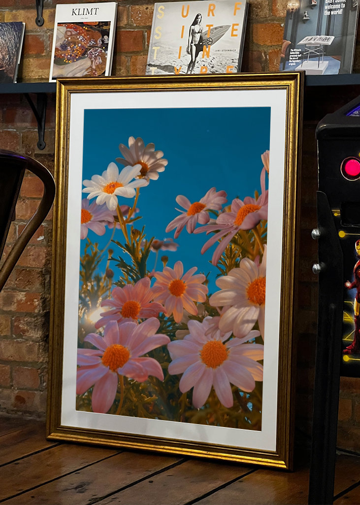 Blumen in der Abendsonne 