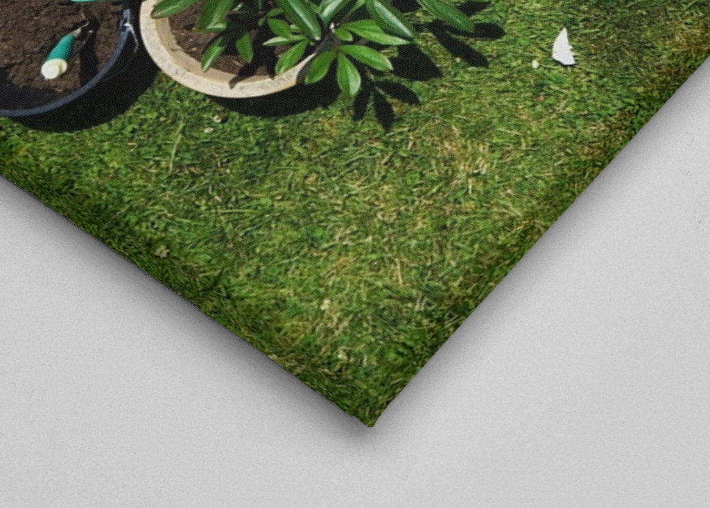 Frau und Paeonia lactiflora