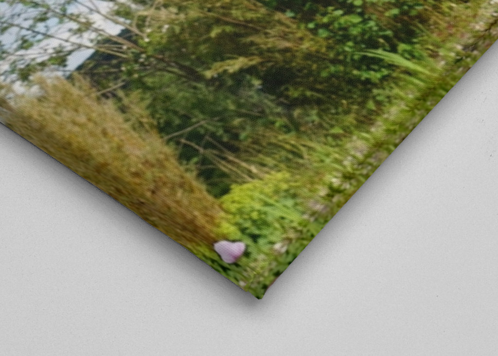 Frau und Paeonia lactiflora