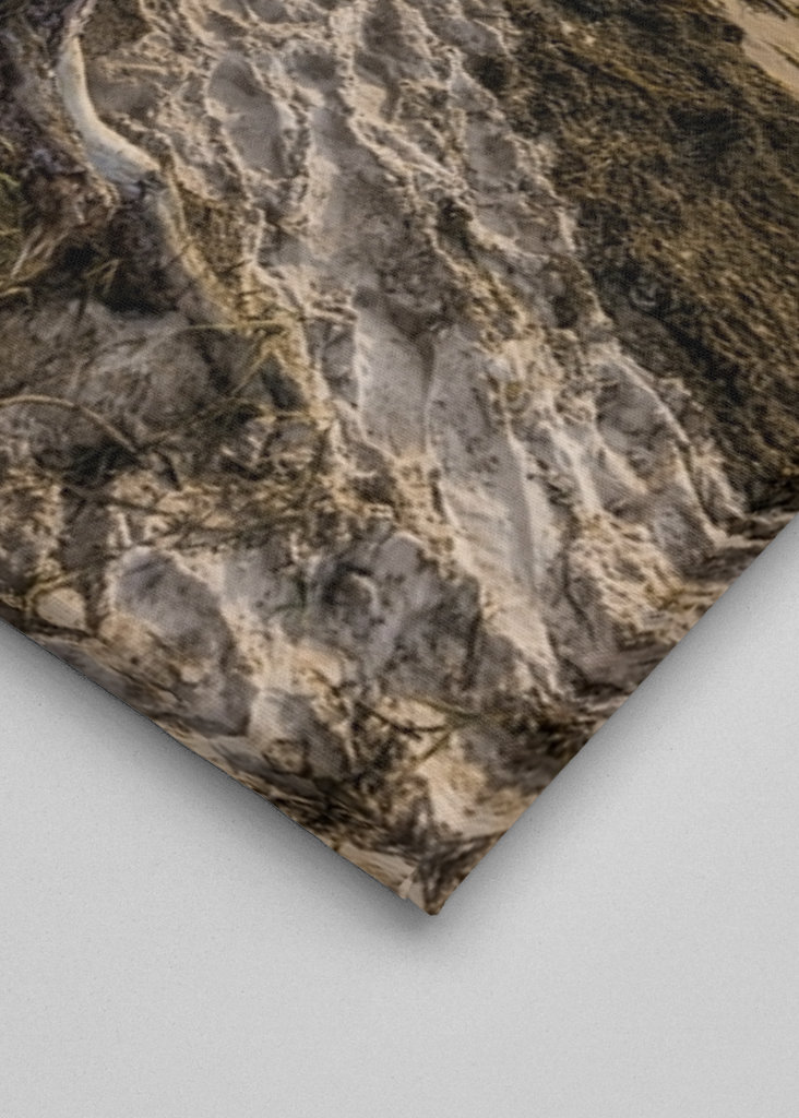 Darßer Weststrand - Østersjøen