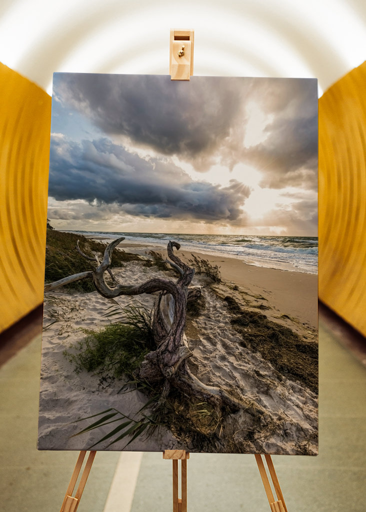 Darßer Weststrand - Østersjøen