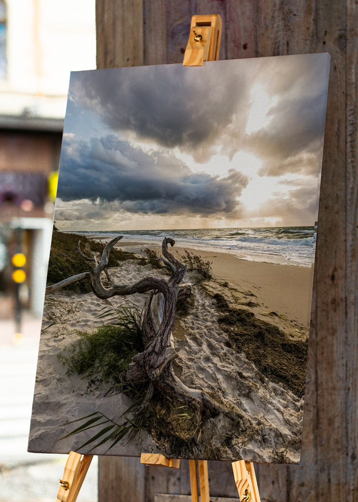 Darßer Weststrand - Østersjøen