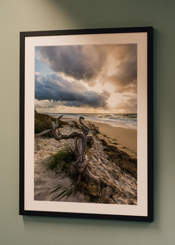 Darßer Weststrand - Østersjøen