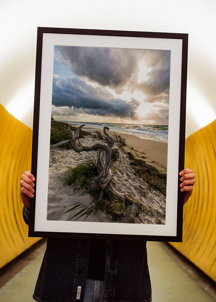 Darßer Weststrand - Østersjøen