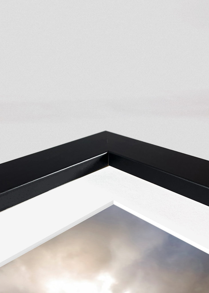 Darßer Weststrand - Østersjøen