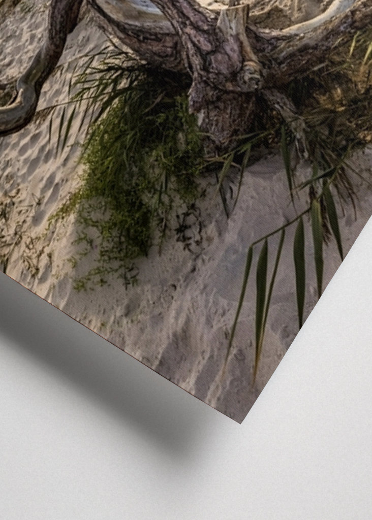 Darßer Weststrand - Østersjøen