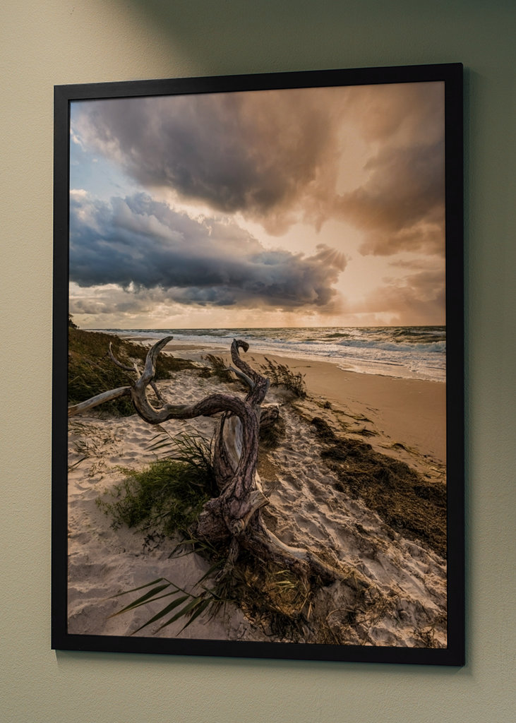 Darßer Weststrand - Østersjøen