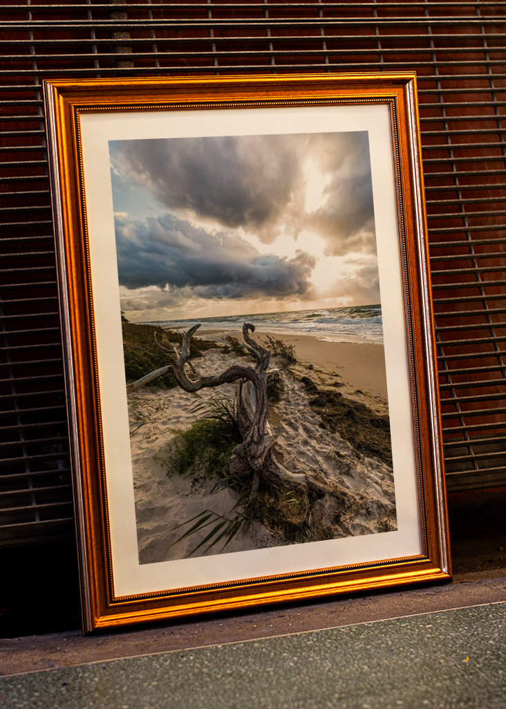 Darßer Weststrand - Østersjøen