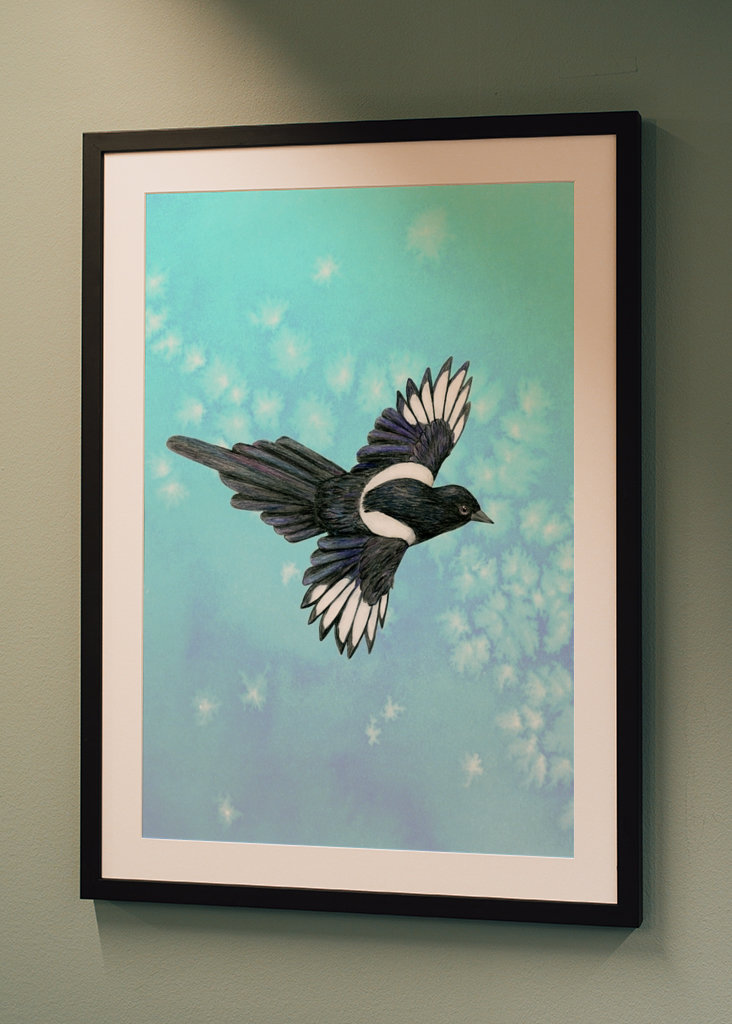 Ekster in vogelvlucht.