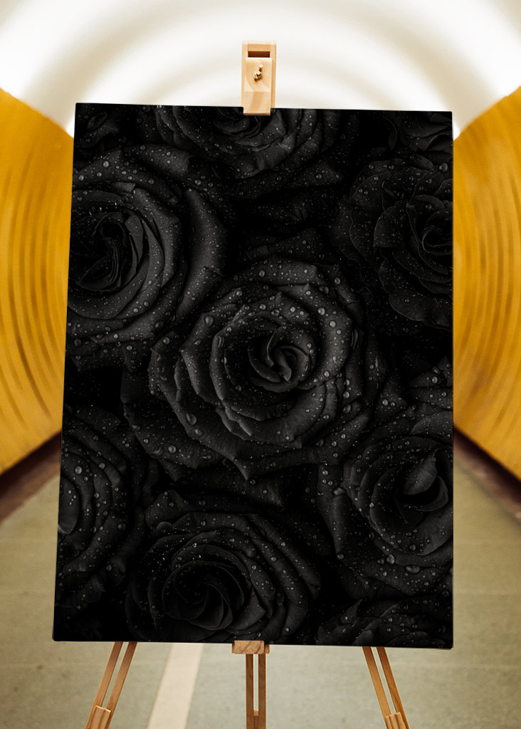 Black Roses
