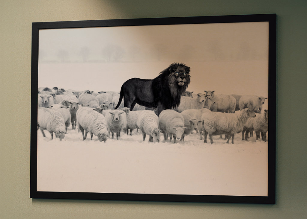 Leone tra le pecore
