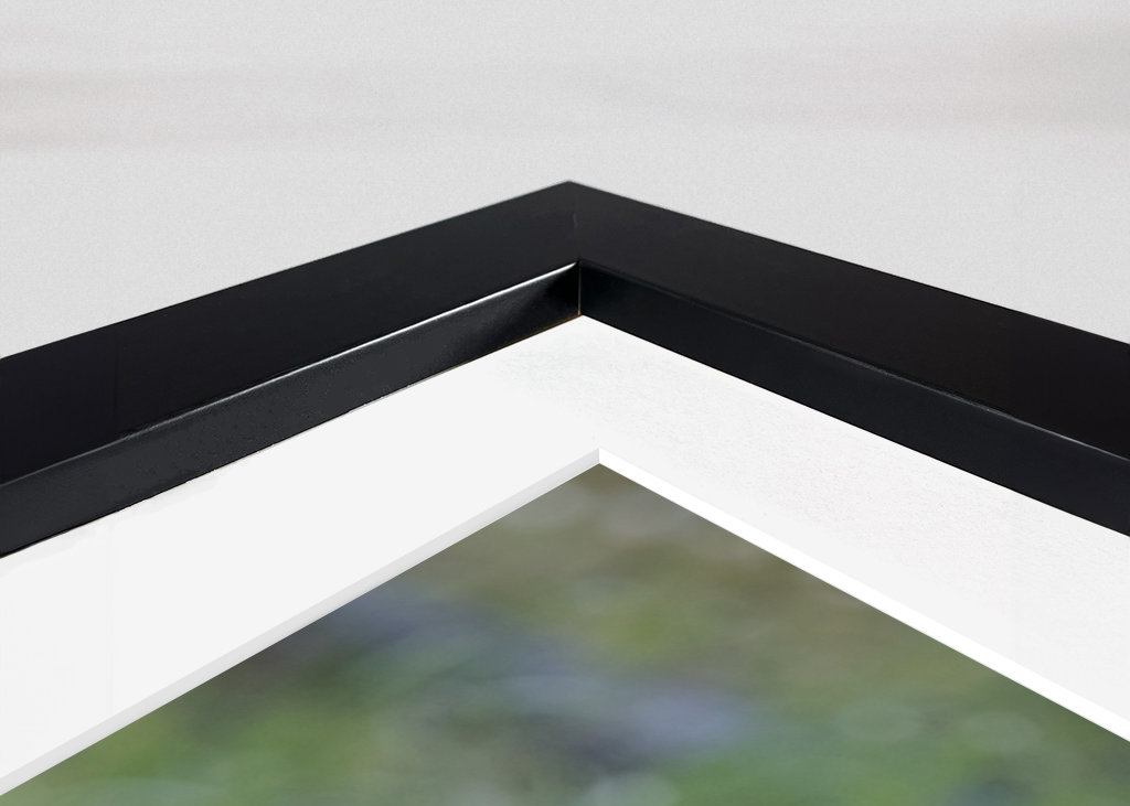 Medvěd hnědý za úsvitu