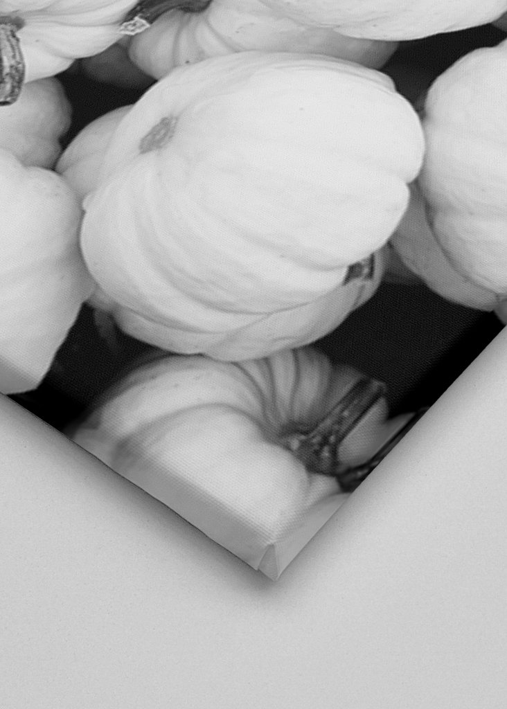 Jesień w czerni i bieli