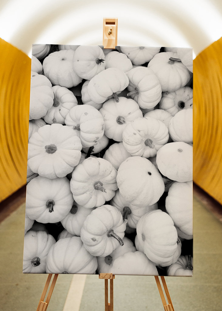 Jesień w czerni i bieli