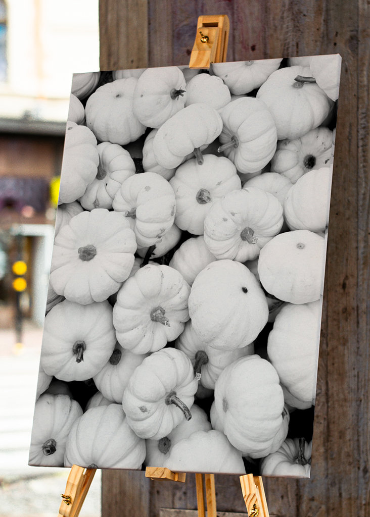 Jesień w czerni i bieli