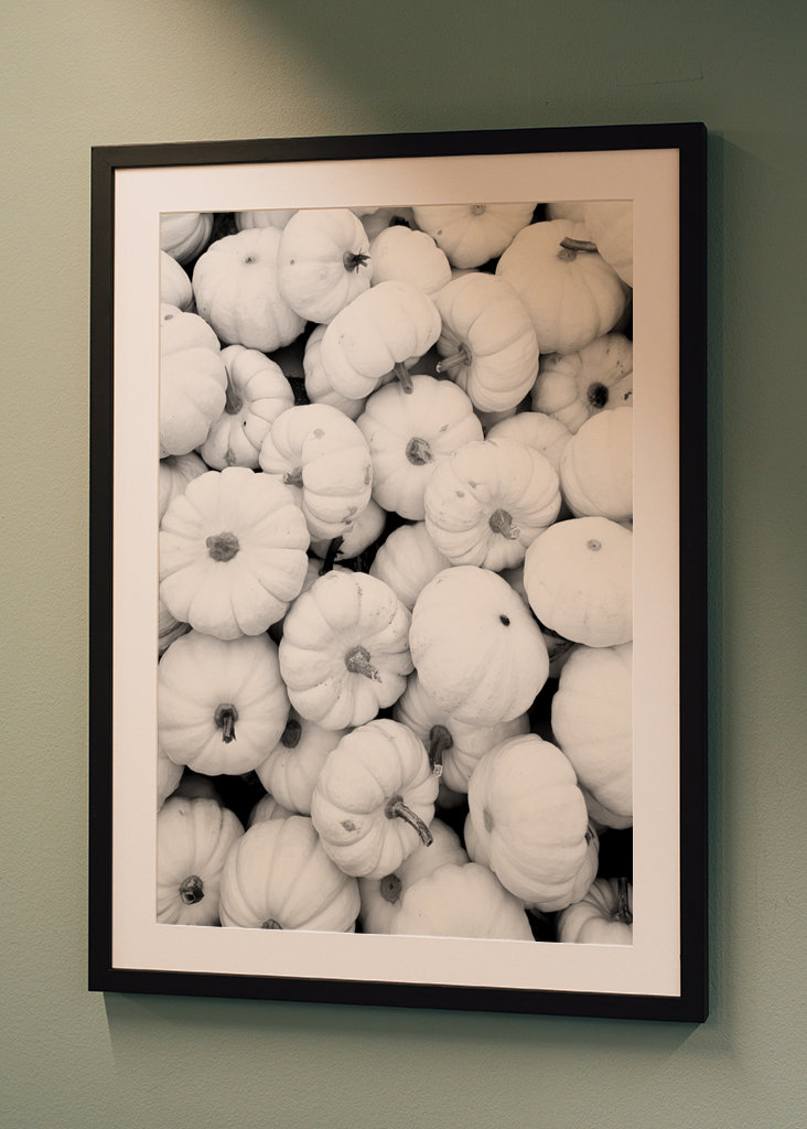 Jesień w czerni i bieli