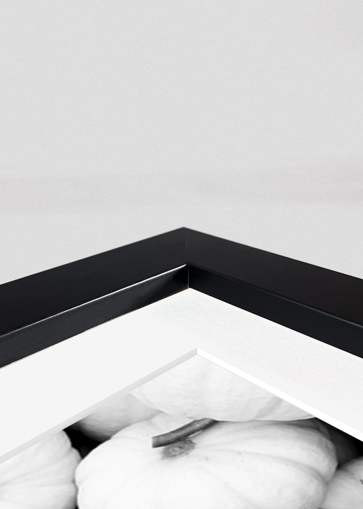 Jesień w czerni i bieli