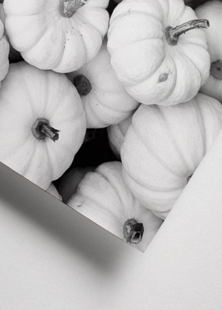 Jesień w czerni i bieli