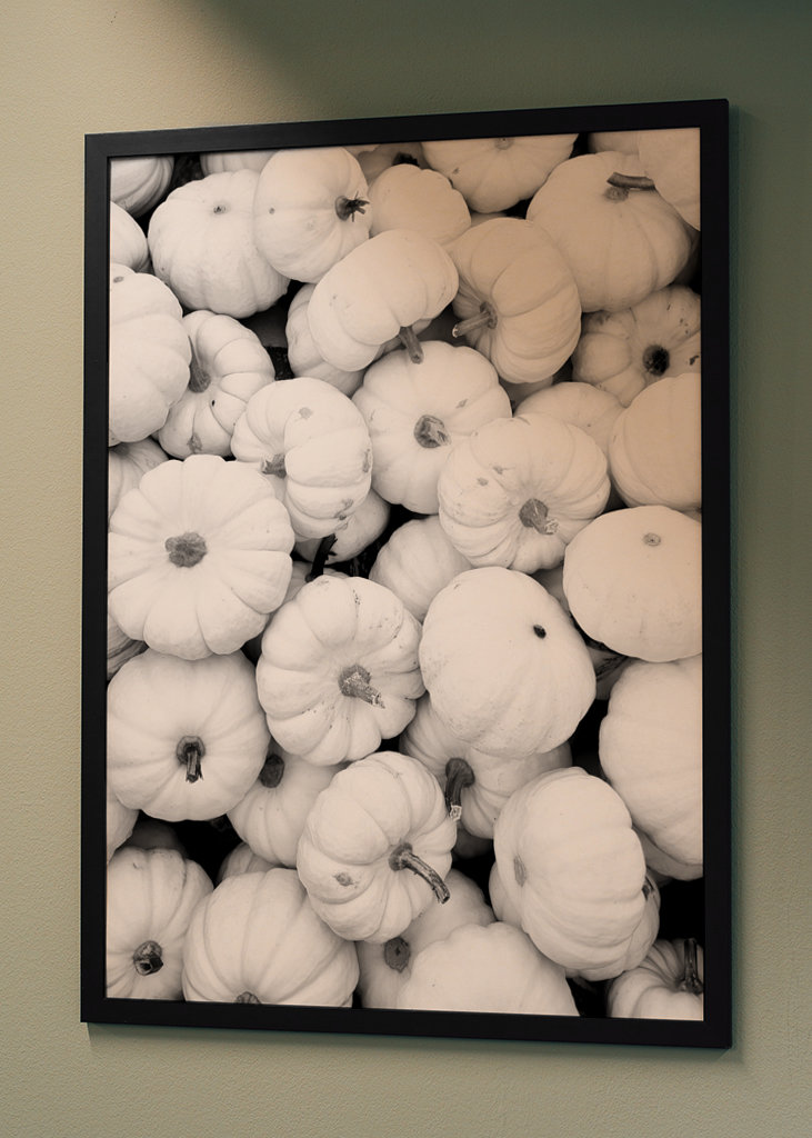 Jesień w czerni i bieli