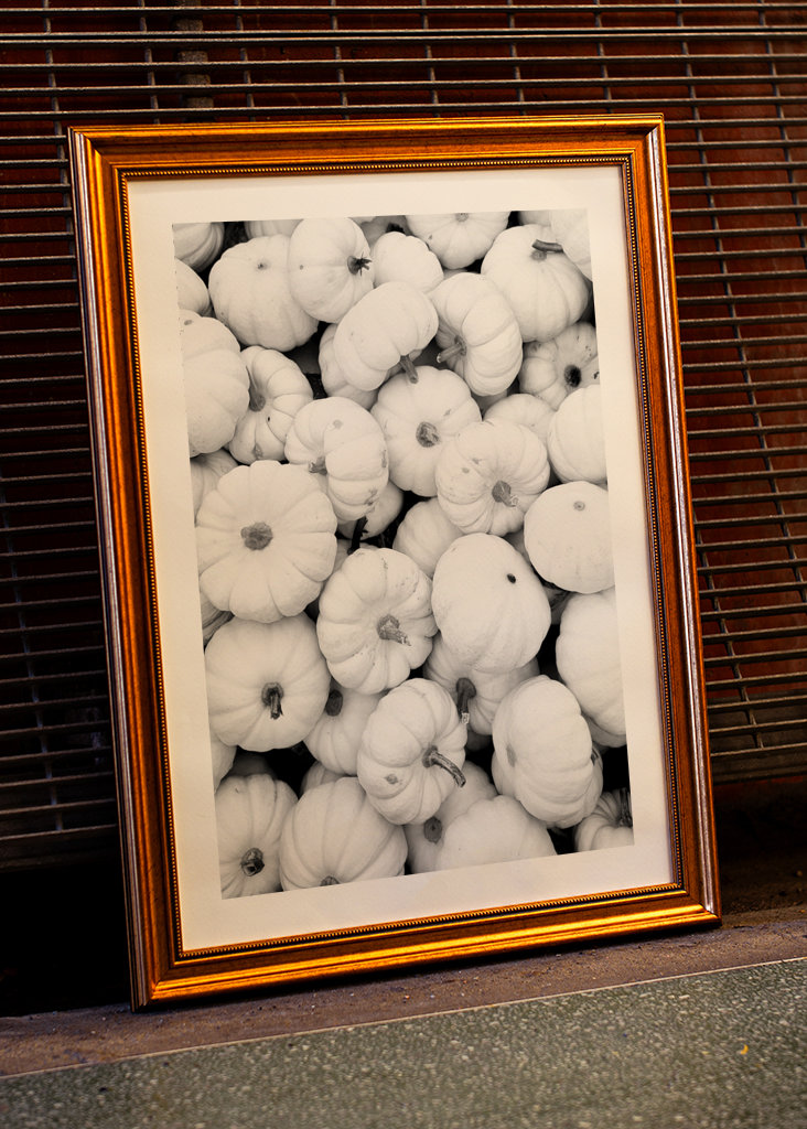 Jesień w czerni i bieli