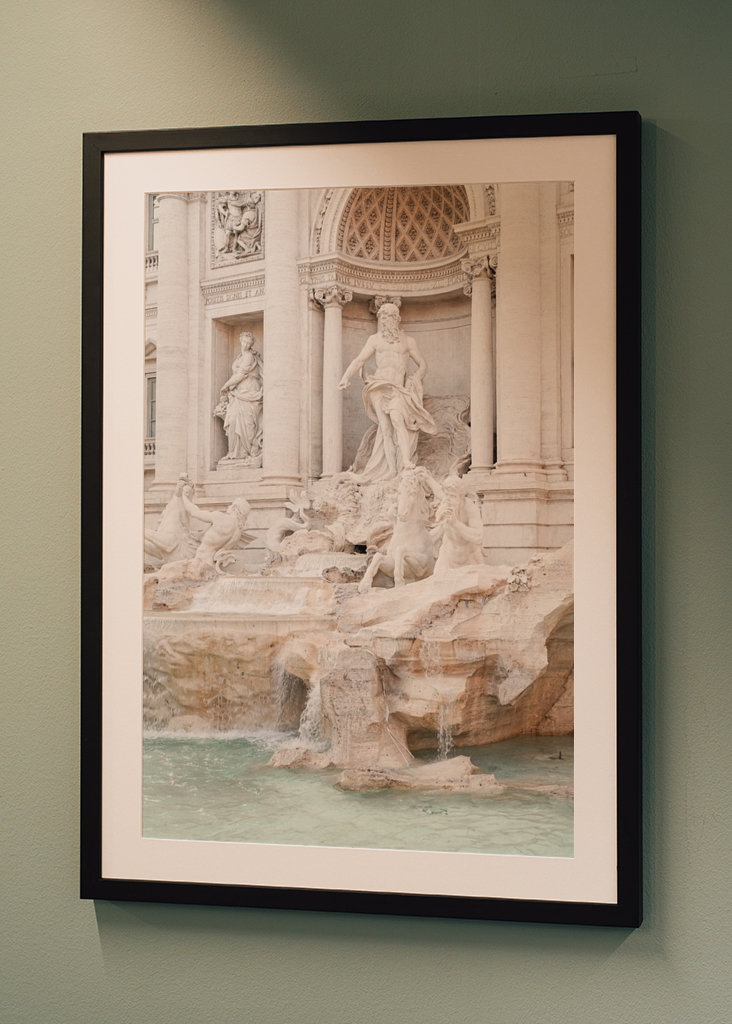 The Trevi Fountain