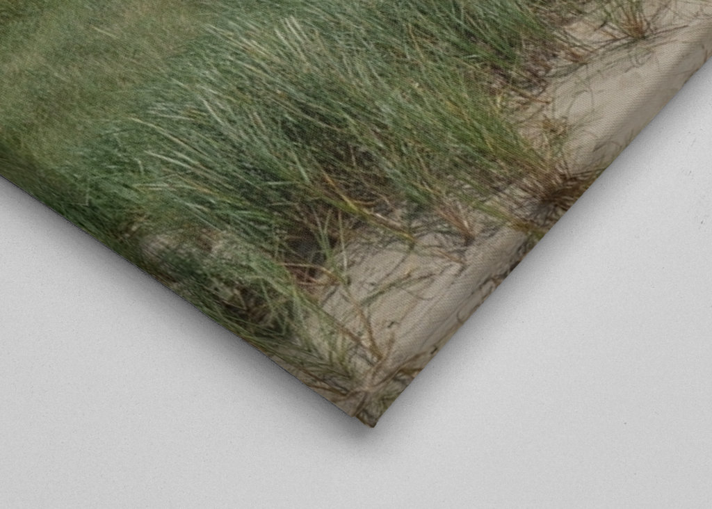 Düne am Nordseestrand