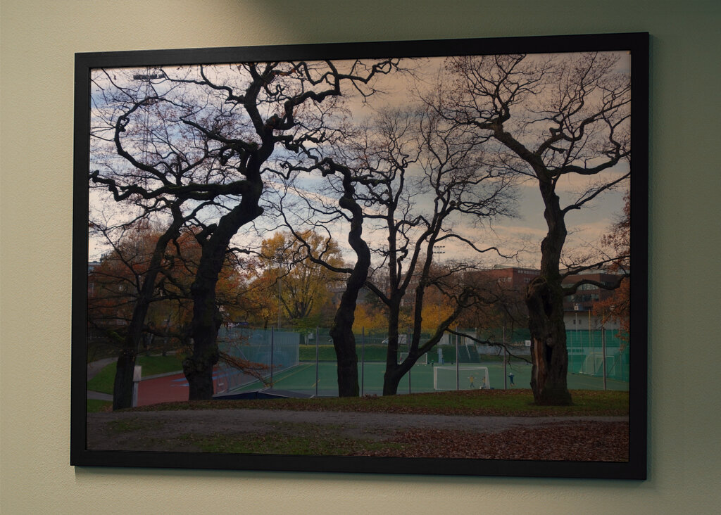 Ekar Östermalms IP Stockholm