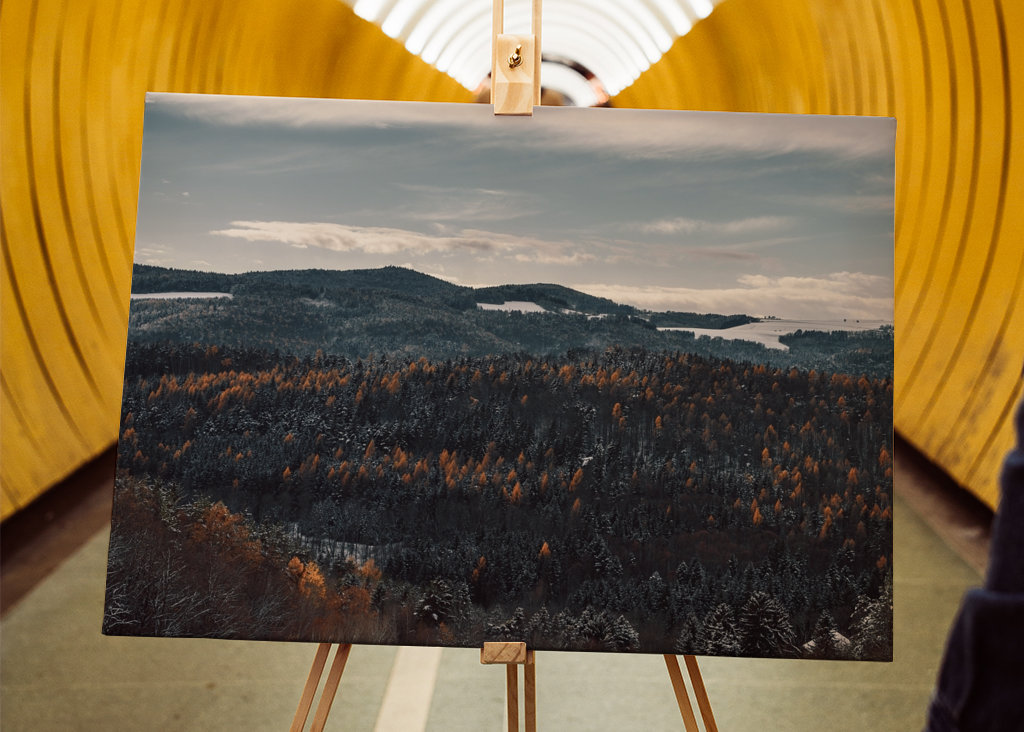 L'inverno sta arrivando in Austria