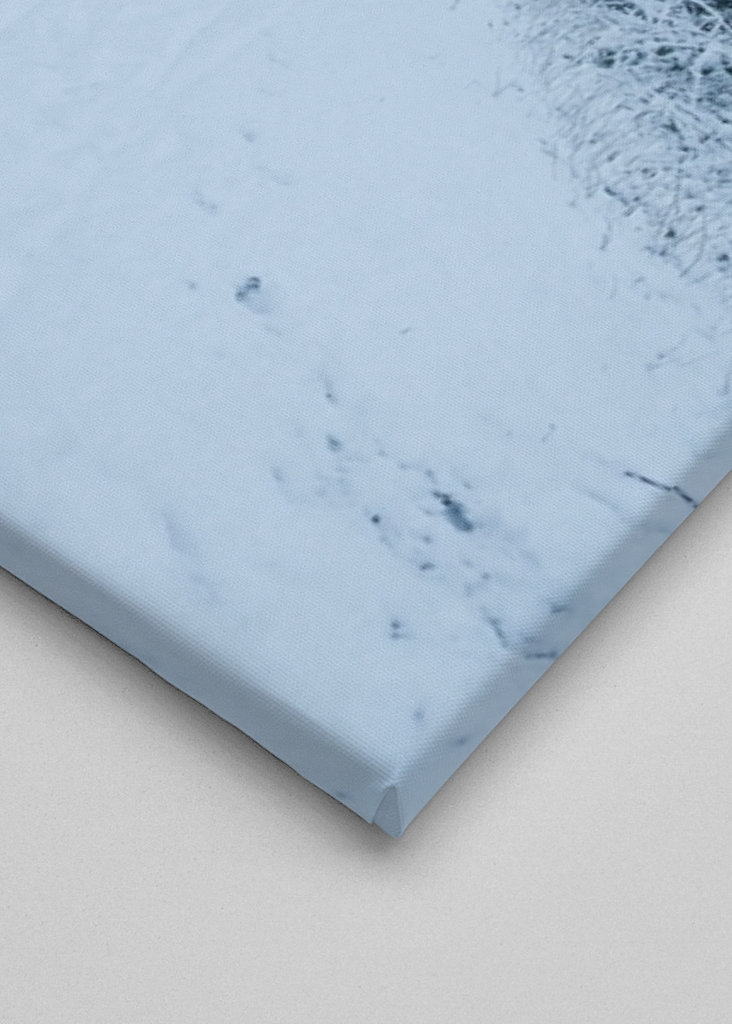 Pathway through the snow