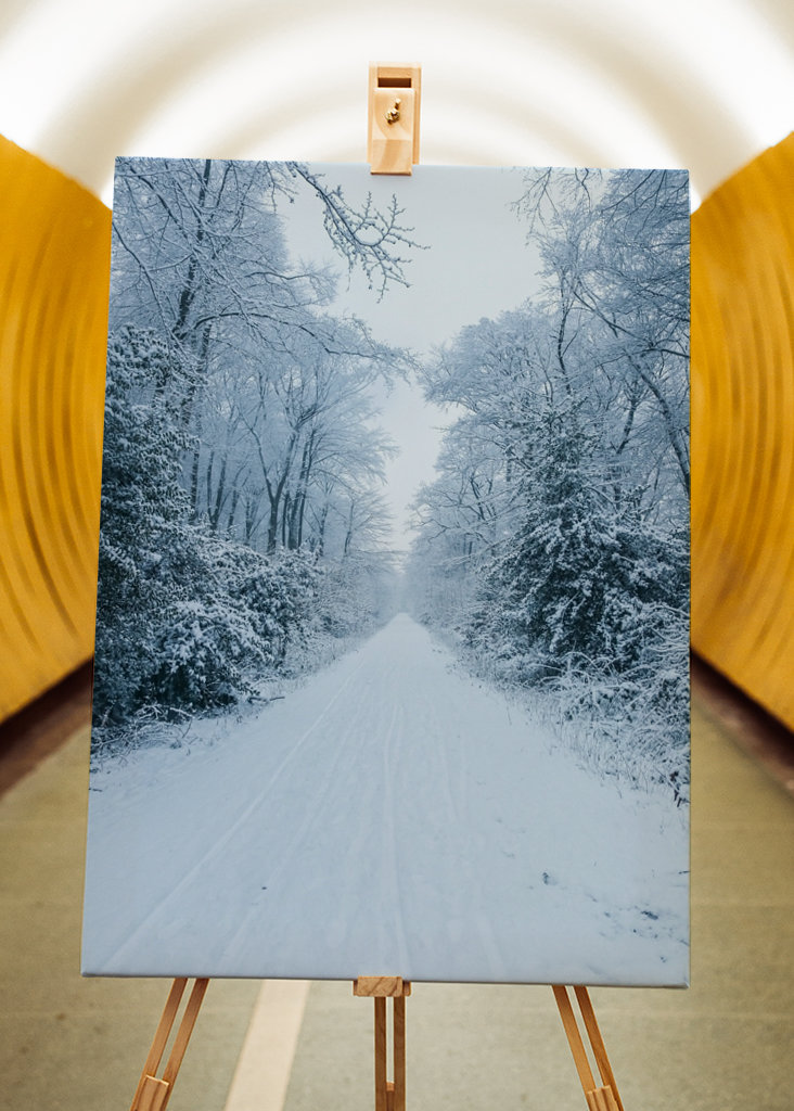 Pathway through the snow