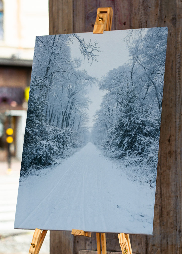 Pathway through the snow