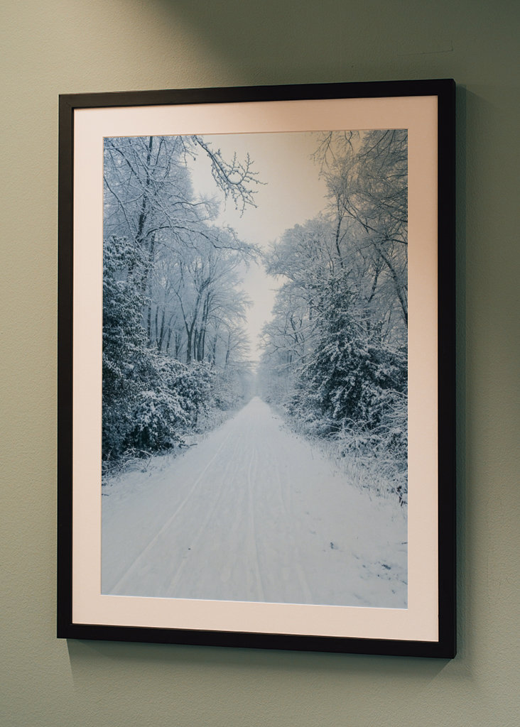 Pathway through the snow