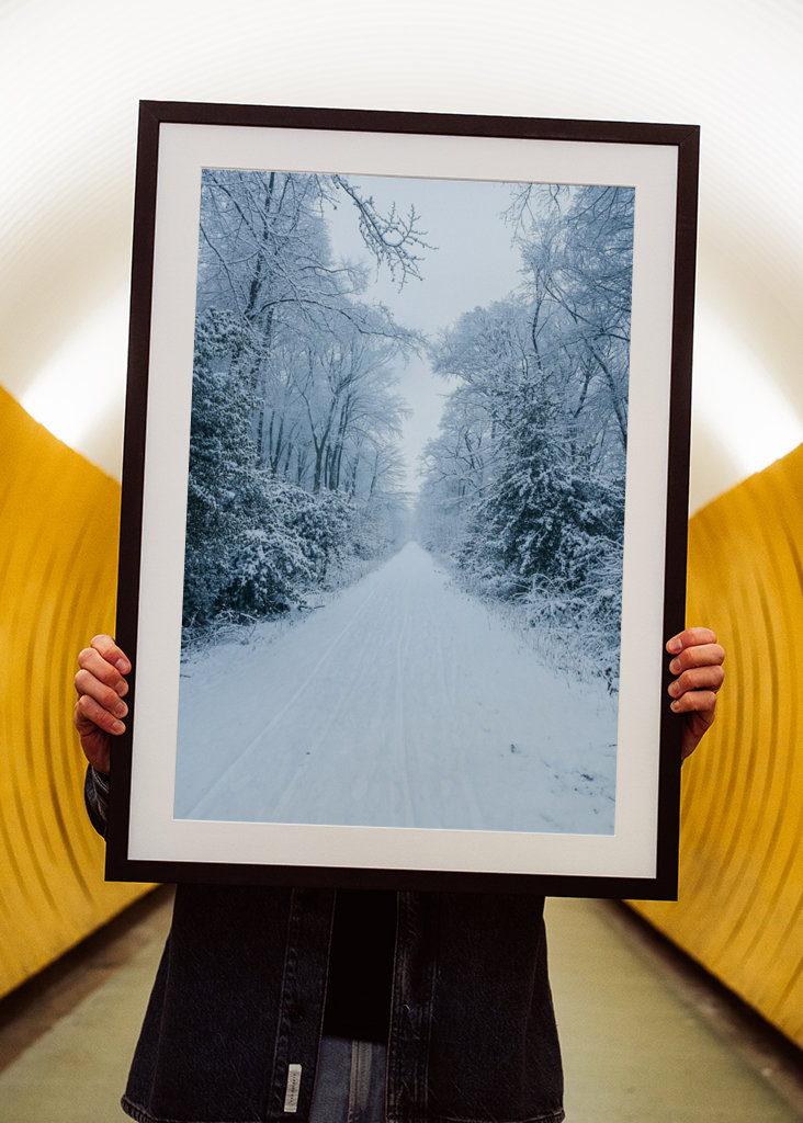 Pathway through the snow