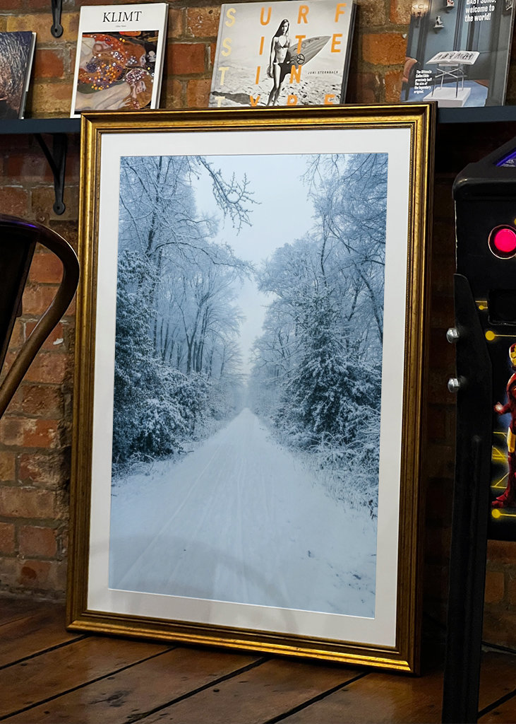 Pathway through the snow