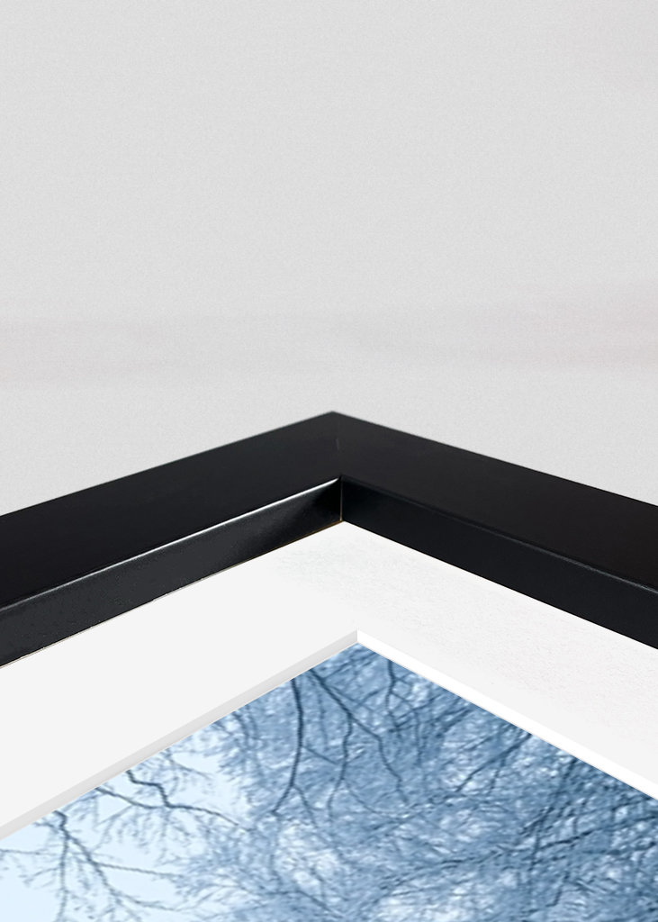 Pathway through the snow