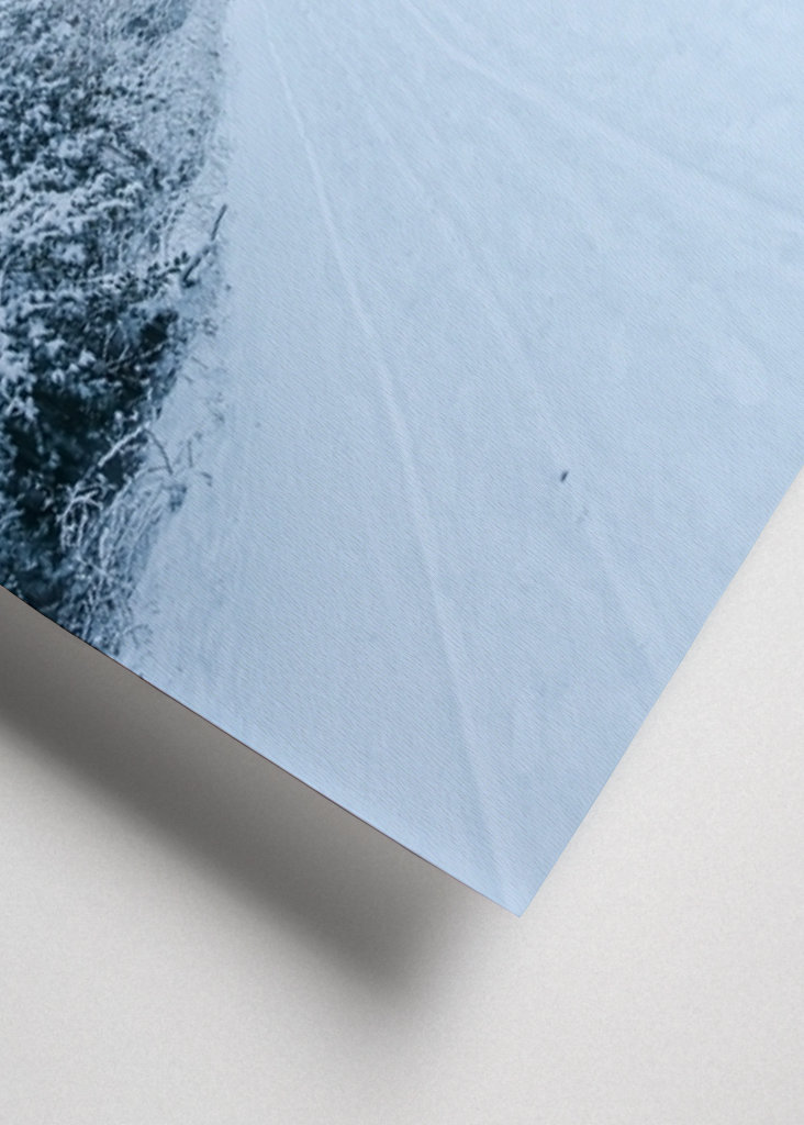 Pathway through the snow