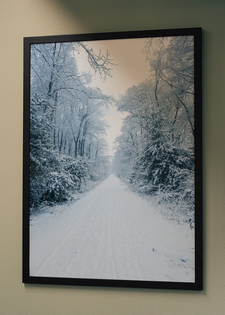 Pathway through the snow