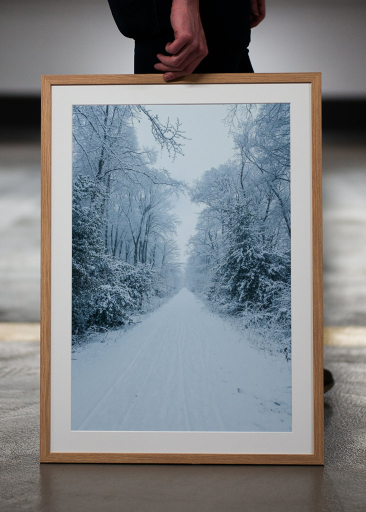 Pathway through the snow