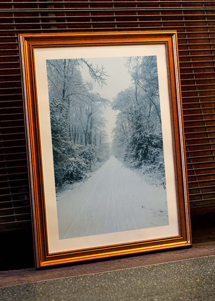 Pathway through the snow