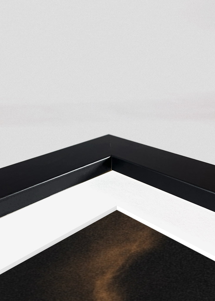 Eminence of the ancient order