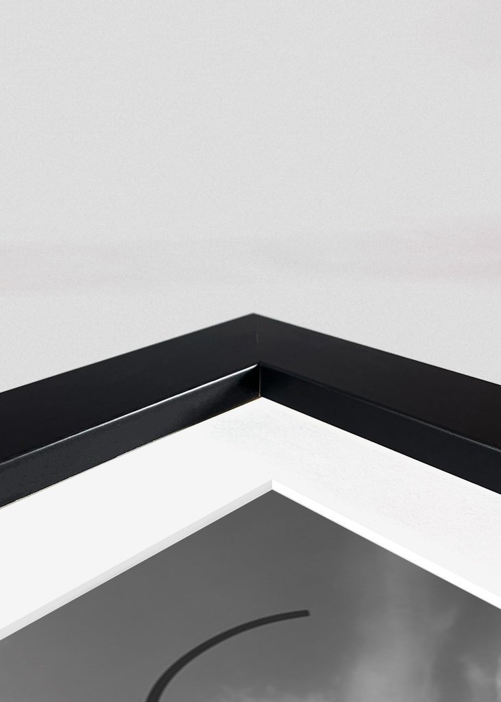 Panorama Chicaga a text