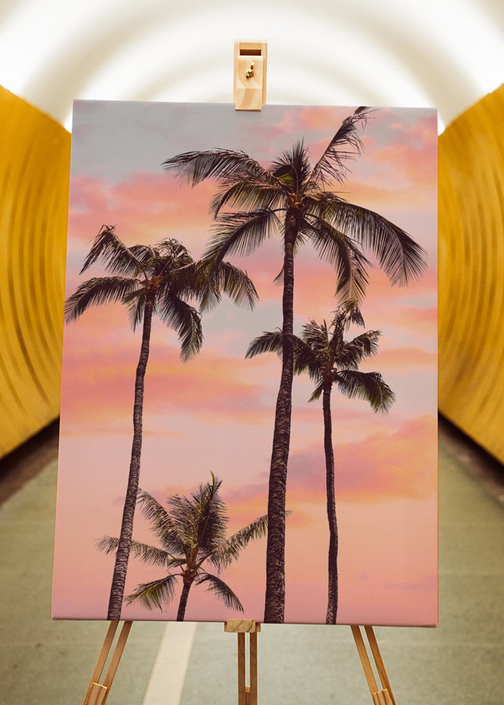 Sunset Palm Trees