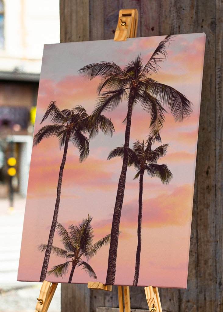 Sunset Palm Trees