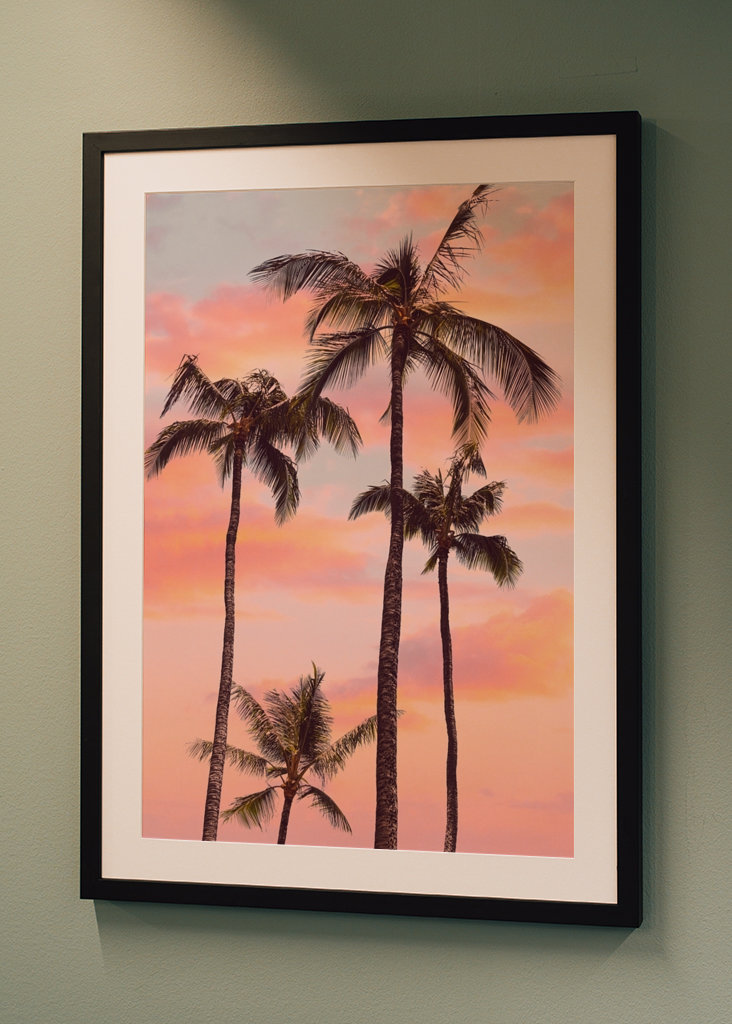 Sunset Palm Trees