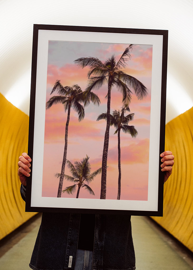 Sunset Palm Trees