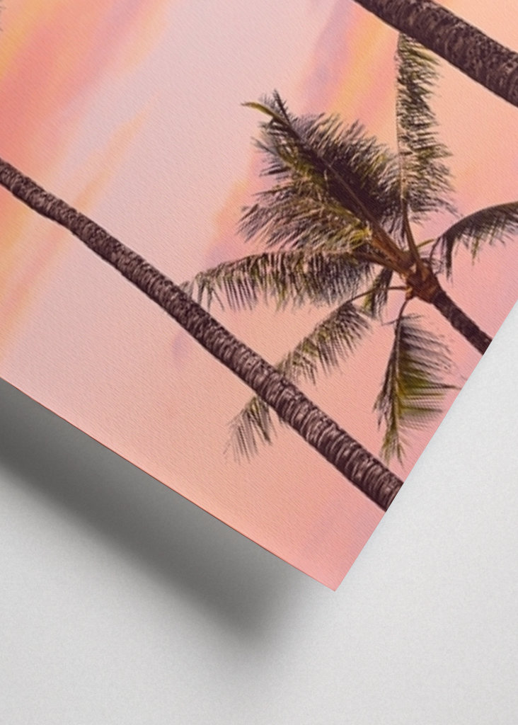 Sunset Palm Trees