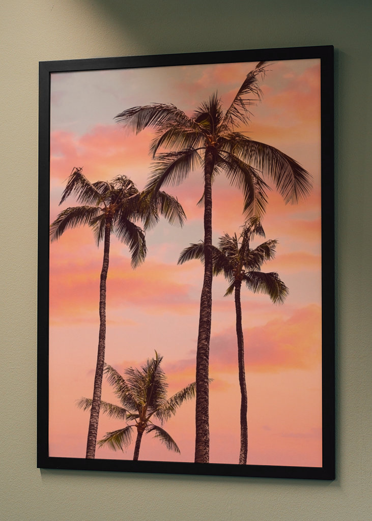 Sunset Palm Trees