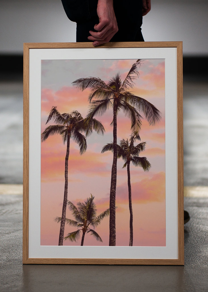 Sunset Palm Trees