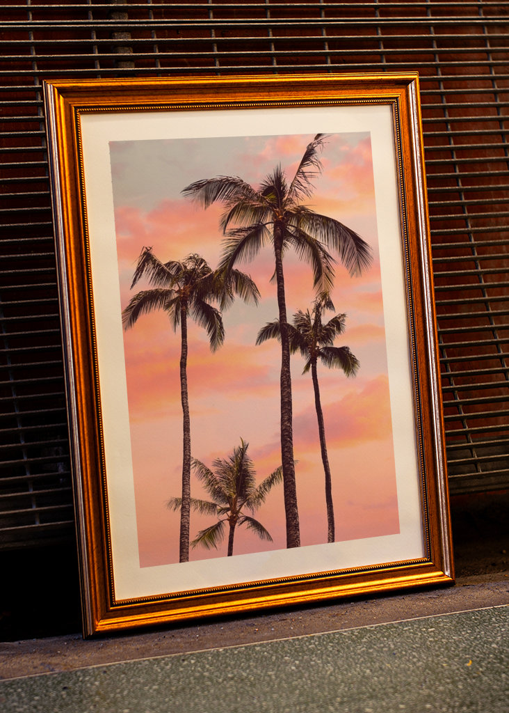 Sunset Palm Trees
