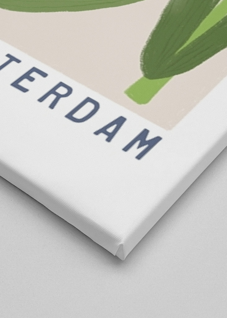 Marché aux fleurs d’Amsterdam